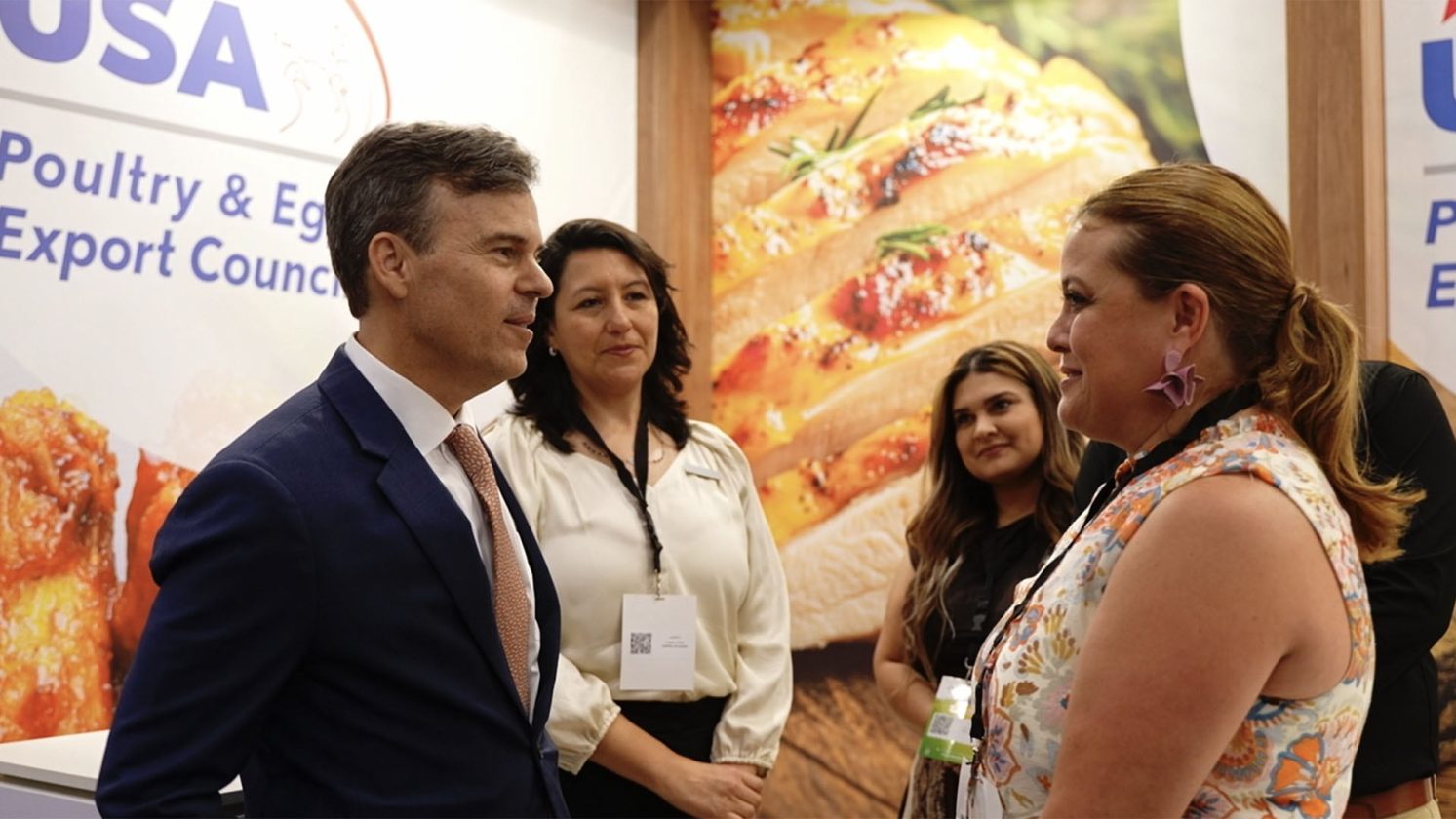 Inicio – Expocomer