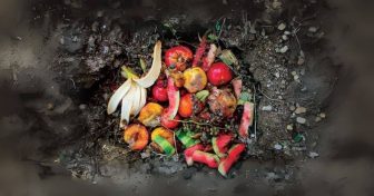 composta-de-fruta-foto-contenidos-sabor-usa