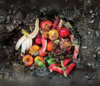 composta-de-fruta-foto-contenidos-sabor-usa