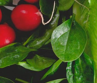 ensalda-primavera-foto-contenidos-sabor-usa