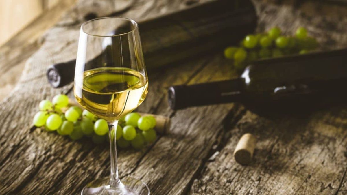 Vino Blanco: el acompañante perfecto en cada alimento