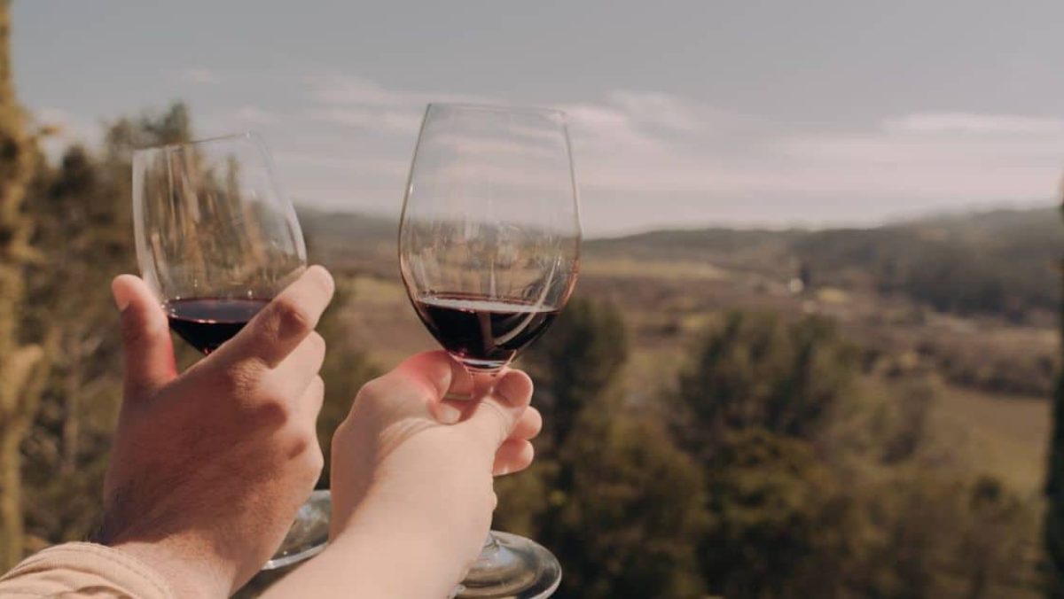 Los vinos de Napa Valley