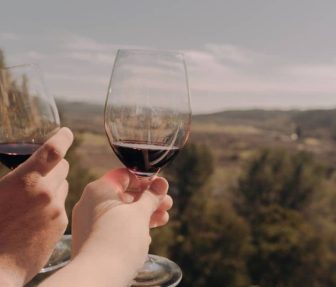 vinos-napa-valley-sabor-usa