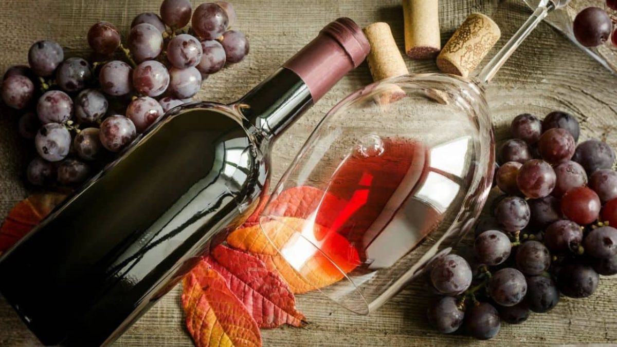 Conociendo sobre Vinos